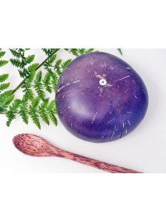 Vietnam Kokosnuss Schale mit Kokosholz L&ouml;ffel D: 13 cm = Code A