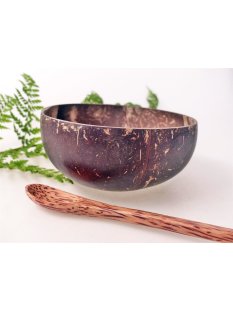 Vietnam Kokosnuss Schale mit Kokosholz L&ouml;ffel D: 13 cm = Code A