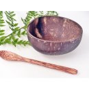 Vietnam Kokosnuss Schale mit Kokosholz L&ouml;ffel D: 13 cm = Code A