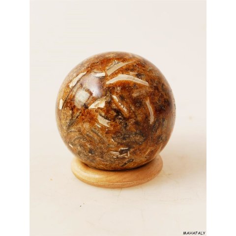 K133  fossiles und versteinertes Holz silifiziert Kugel Madagaskar  440 g D 67 mm