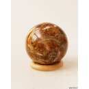 K133  fossiles und versteinertes Holz silifiziert Kugel Madagaskar  440 g D 67 mm