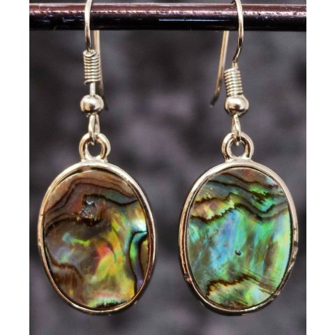 1 Paar Ohrh&auml;nger Perlmutt echte Abalone Metallfassung oval D 3  cm = Code C