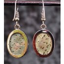 1 Paar Ohrh&auml;nger Perlmutt echte Abalone Metallfassung oval D 3  cm = Code C