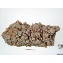 KS111 Ananas Quarz Stufe wei&szlig;er Milchquarz 2480 g 230 mm