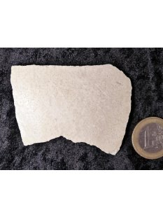 1 Fragment Nr. 03 vom gr&ouml;&szlig;ten Ei der Welt !...