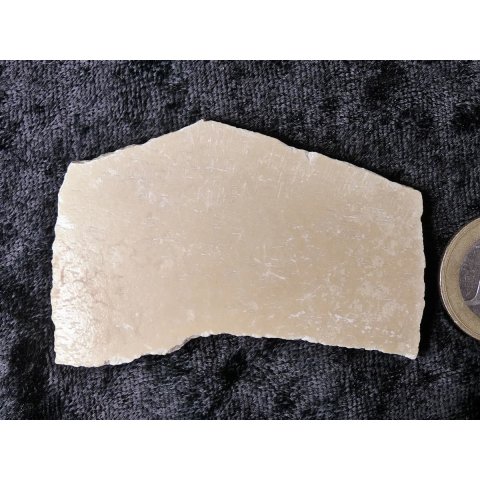 1 Fragment Nr. 05 vom gr&ouml;&szlig;ten Ei der Welt ! Aepyornis maximus Elefantenvogel Ei aus Madagaskar