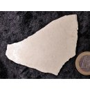 1 Fragment Nr. 06 vom gr&ouml;&szlig;ten Ei der Welt ! Aepyornis maximus Elefantenvogel Ei aus Madagaskar