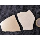 2 Fragmente Nr. 11 vom gr&ouml;&szlig;ten Ei der Welt ! Aepyornis maximus Elefantenvogel Ei aus Madagaskar