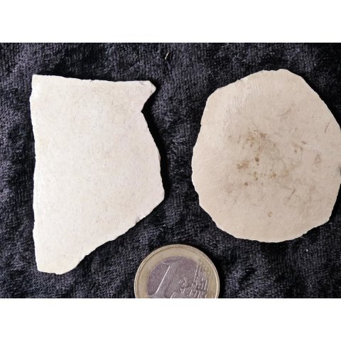 2 Fragmente Nr. 14 vom gr&ouml;&szlig;ten Ei der Welt ! Aepyornis maximus Elefantenvogel Ei aus Madagaskar