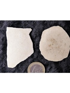 2 Fragmente Nr. 14 vom gr&ouml;&szlig;ten Ei der Welt !...