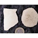 2 Fragmente Nr. 14 vom gr&ouml;&szlig;ten Ei der Welt ! Aepyornis maximus Elefantenvogel Ei aus Madagaskar