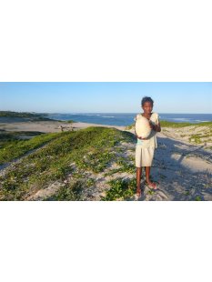 3 Fragmente Nr. 22 vom gr&ouml;&szlig;ten Ei der Welt ! Aepyornis maximus Elefantenvogel Ei aus Madagaskar