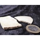 3 Fragmente Nr. 22 vom gr&ouml;&szlig;ten Ei der Welt ! Aepyornis maximus Elefantenvogel Ei aus Madagaskar