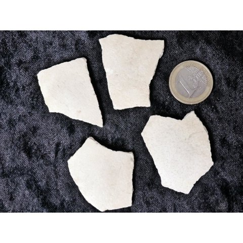 4 Fragmente Nr. 29 vom gr&ouml;&szlig;ten Ei der Welt ! Aepyornis maximus Elefantenvogel Ei aus Madagaskar