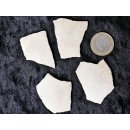 4 Fragmente Nr. 29 vom gr&ouml;&szlig;ten Ei der Welt ! Aepyornis maximus Elefantenvogel Ei aus Madagaskar