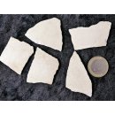 5 Fragmente Nr. 32 vom gr&ouml;&szlig;ten Ei der Welt ! Aepyornis maximus Elefantenvogel Ei aus Madagaskar