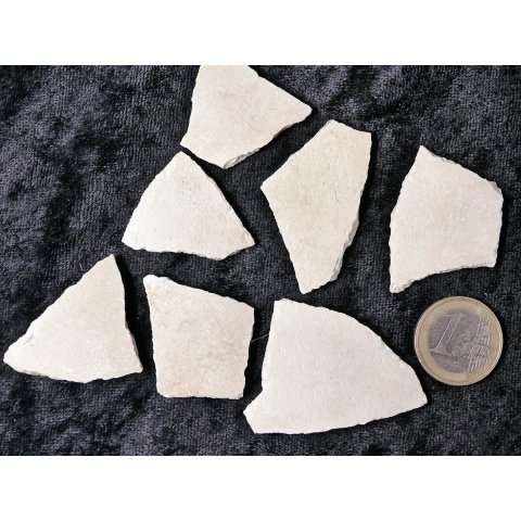 7 Fragmente Nr. 41 vom gr&ouml;&szlig;ten Ei der Welt ! Aepyornis maximus Elefantenvogel Ei aus Madagaskar