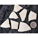 7 Fragmente Nr. 41 vom gr&ouml;&szlig;ten Ei der Welt ! Aepyornis maximus Elefantenvogel Ei aus Madagaskar