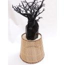 Rattan Papierkorb SEFU rund D: 24 cm Preiscode C