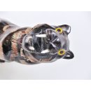 Hornfigur Tiger ca. 17 cm = Code I