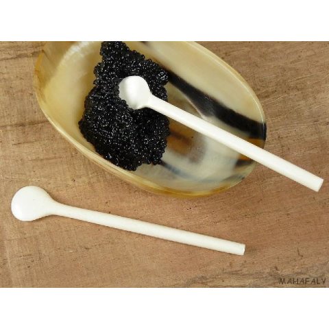 Knochen L&ouml;ffel. Salzl&ouml;ffel 10 cm = Code Z