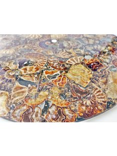 1 St&uuml;ck Ammonit PlatteTeller Untersetzer D 26 cm aus...