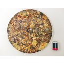 1 St&uuml;ck Ammonit PlatteTeller Untersetzer D 26 cm aus Ammoniten montiert