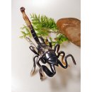 Hornfigur Skorpion einmaliges Sammlerst&uuml;ck L&auml;nge 26 cm = Code L