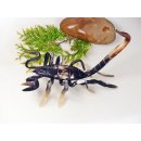 Hornfigur Skorpion einmaliges Sammlerst&uuml;ck L&auml;nge 26 cm = Code L