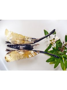 Hornfigur Schmetterling einmaliges Sammlerst&uuml;ck...