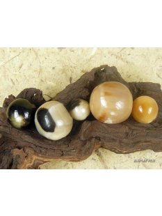 Hornkugeln. poliert ohne F&auml;delloch D:  28 - 32 mm mm