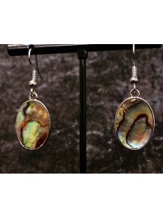 1 Paar Ohrh&auml;nger Perlmutt echte Abalone/Shell oval...