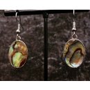 1 Paar Ohrh&auml;nger Perlmutt echte Abalone/Shell oval in Metallfassung 2 x 1,5 cm = Code C