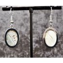 1 Paar Ohrh&auml;nger Perlmutt echte Abalone/Shell oval in Metallfassung 2 x 1,5 cm = Code C