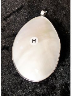 Perlmutt Anh&auml;nger echt Abalone Patchwork oval gew&ouml;lbt mit Metallfassung oval 60 x 45 mm Code H
