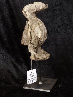 MF415 Kopfteil einer AloAlo der Sakalava Vogel LOLO ca. 20 cm 1945