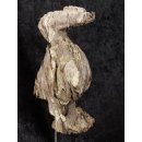 MF415 Kopfteil einer AloAlo der Sakalava Vogel LOLO ca. 20 cm 1945