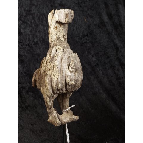 MF417 Kopfteil einer AloAlo der Sakalava Vogel LOLO ca. 20 cm 1945