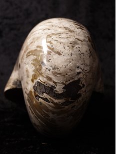 AM47 Ammonit Nautilus Perlboot D 170 mm poliert 2585 g Madagaskar selten