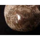 AM47 Ammonit Nautilus Perlboot D 170 mm poliert 2585 g Madagaskar selten