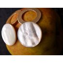 1 Paar Designer Ohrstecker 60 mm Perlmutt auf Messing vergoldet Lailah No.08