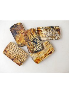 5 x Hornplatten antik braun 35 x 20 x 5 mm No.01