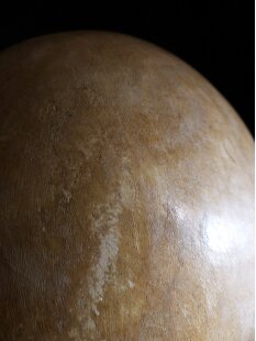 Das gr&ouml;&szlig;te Ei der Welt ! Aepyornis maximus Elefantenvogel Ei Nr. XIII., pr&auml;pariert. mit kleinem Fra&szlig;loch H: 32 cm 850 g