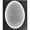 Das gr&ouml;&szlig;te Ei der Welt ! Aepyornis maximus Elefantenvogel Ei Nr. XIII., pr&auml;pariert. mit kleinem Fra&szlig;loch H: 32 cm 850 g