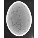 Das gr&ouml;&szlig;te Ei der Welt ! Aepyornis maximus Elefantenvogel Ei Nr. XIV pr&auml;pariert, mit kleinem Fra&szlig;loch H: 32 cm 1700 g