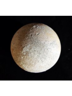 Fossiles Ei Nr. 02 der Riesenschildkr&ouml;te...