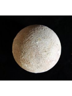 Fossiles Ei Nr. 02 der Riesenschildkr&ouml;te Aldabrachelys Madagaskar D: 57 mm 20 g