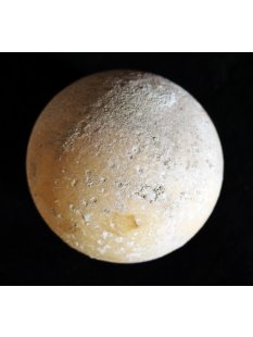 Fossiles Ei Nr. 02 der Riesenschildkr&ouml;te Aldabrachelys Madagaskar D: 57 mm 20 g