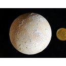 Fossiles Ei Nr. 02 der Riesenschildkr&ouml;te Aldabrachelys Madagaskar D: 57 mm 20 g