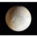 Fossiles Ei Nr. 02 der Riesenschildkr&ouml;te Aldabrachelys Madagaskar D: 57 mm 20 g